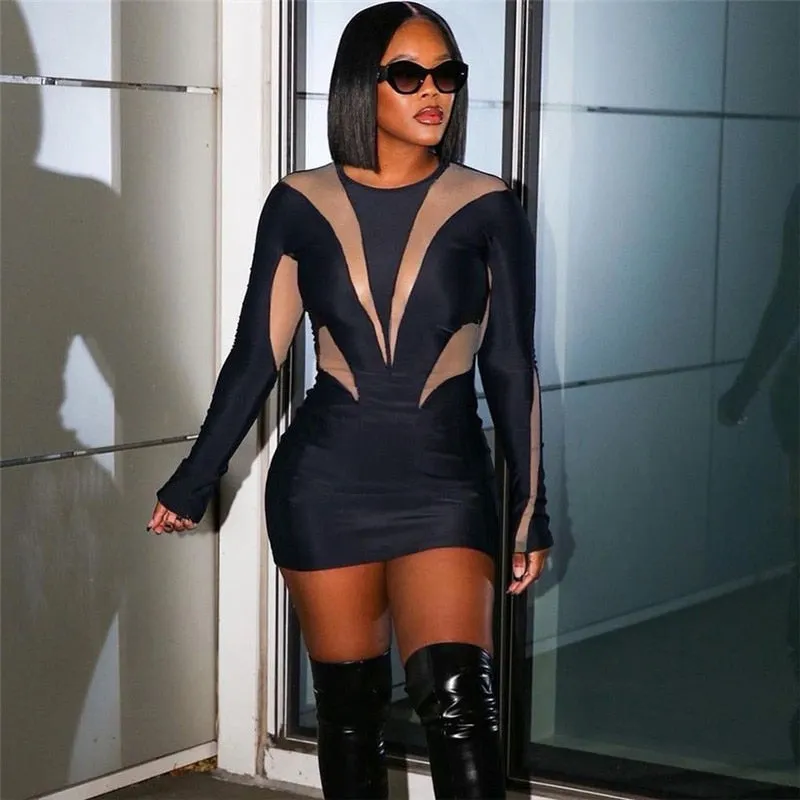 Luiza mesh bodycon dress